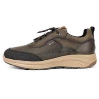 fluchos zapatos bajos f2294 kaki para hombre