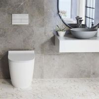 estructura anclaje wc rea t brush steel  boton para el sistema de instalacion previa al wc t