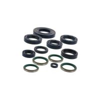 kit reten motor ducati monster 750 ie athena