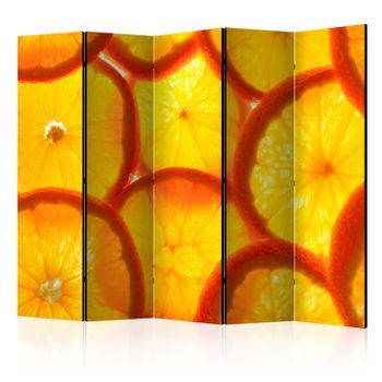 Biombo - Orange Slices Ii (225x172 Cm)