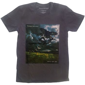 David Gilmour Tops y Camisetas Rattle That Lock para mujer