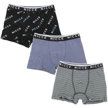 Nicce London Boxer Carlino para niño