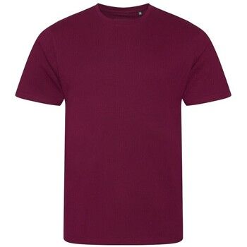 Ecologie Camiseta Cascades para hombre