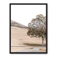 cuadro tree in the savana iii
