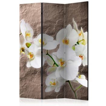 Biombo - Impeccability Of The Orchid (135x172 Cm)