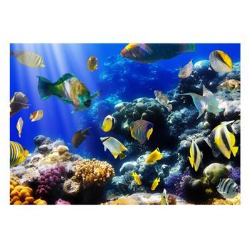 Papel Pintado 3d - Aventura Submarina (400x280 Cm)
