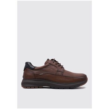 Fluchos Zapatos Bajos F2065 para hombre