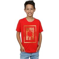 dc comics tops y camisetas bi33626 para nino