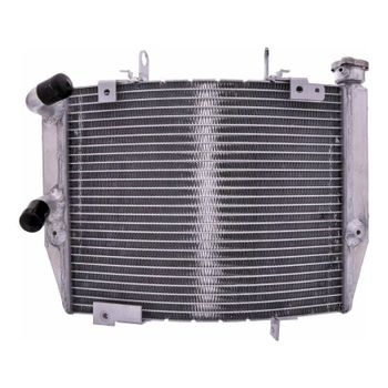 Refrigerador motor Triumph Street Triple 765 agua