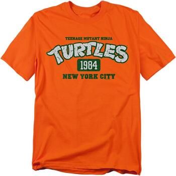 Teenage Mutant Ninja Turtles Camiseta Est. 1984 New York City para mujer