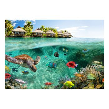 Papel Pintado 3d - Bajo La Superficie Del Agua (250x175 Cm)