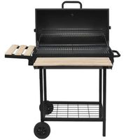 robby barbacoa de carbon 76x335cm con carro - smoker one xl