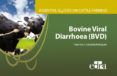 Essential guides on cattle farming. Bovine Viral Diarrhoea (BVD)