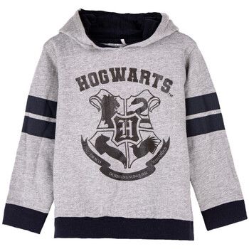 Harry Potter Jersey 2900000206 para niño