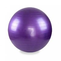pelota de yoga fitness antideslizante r balon de gimnasia con bomba de inflado incluida resistente y duradera ideal pilates ejercicio rehabilitacion y equilibrio r disponible 55 cm y mini 25 cm