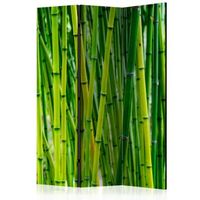 biombo - bamboo forest 135x172 cm