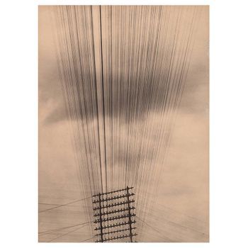 Cuadro Lienzo, Impresión Digital - Cables Telefónicos - Tina Modotti - 50x70cm