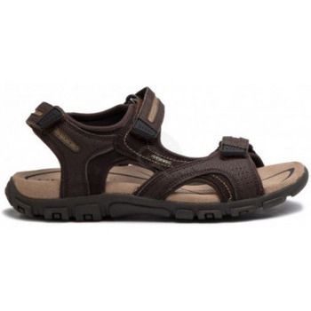 Geox Sandalias sandale para hombre