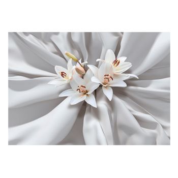 Papel Pintado 3d - Sensual Lilies (350x245 Cm)