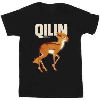 Les Animaux Fantastiques Tops y Camisetas BI51815 para niño