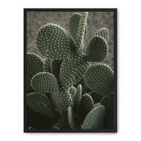 cuadro cactus ii