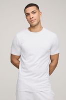 camiseta basica ajustada gris