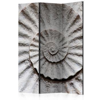 Biombo - Shell (135x172 Cm)