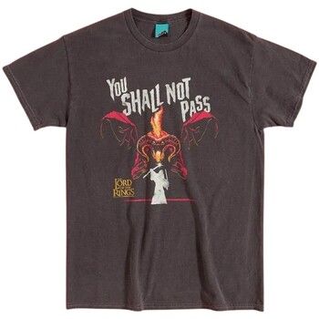 The Lord Of The Rings Camiseta You Shall Not Pass para mujer