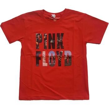 Pink Floyd Tops y Camisetas Echoes Album para niño