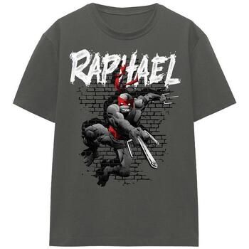 Teenage Mutant Ninja Turtles Tops y Camisetas TV16882 para hombre