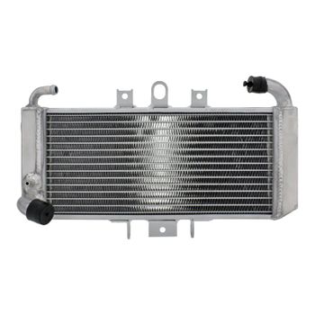 Refrigerador motor Yamaha FZS 600 Fazer agua