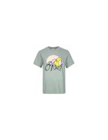 camiseta oneill luano graphic mujer gris