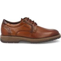 fluchos zapatos hombre f2319 marron para hombre