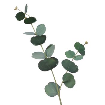 Flor decorativa de hoja verde oscura h73cm