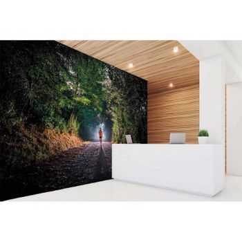Fotomural Vinilo Running Sendero En El Bosque 400 X 300 Cm
