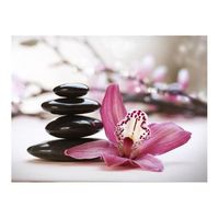 papel pintado 3d - relaxation and wellness 400x309 cm