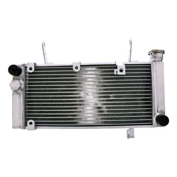 Refrigerador motor Suzuki SV 1000 agua
