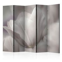 biombo - tulip - black and white photo ii 225x172 cm