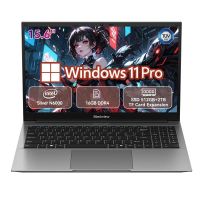 portatil blackview acebook 5 156 intel pentium silver n6000 16gb 512gb ssd graficos intel windows 11 pro