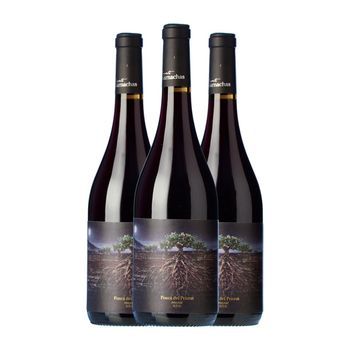 Proyecto Garnachas Vino Tinto La Garnatxa Fosca Priorat 75 Cl 14% Vol. (pack De 3 Unidades)