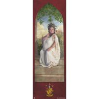 erik poster de puerta harry potter gryffindor password 158x53cm