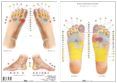 reflexologia podal (lamina)