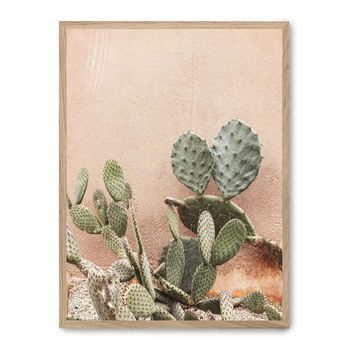 Cuadro Cactus Terracotta Background Ii