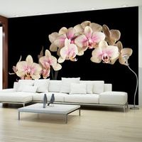 fotomural - orquidea florescente