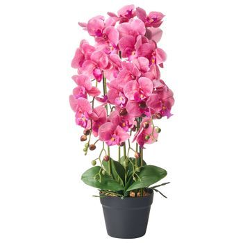 Planta Artificial En Maceta Orquídea Planta De Interior Decoración De Plástico 65 Cm Rosa Orchid
