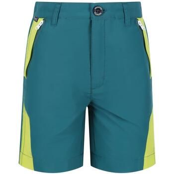 Regatta Short niño Sorcer para niño