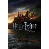 erik maxi poster harry potter 2 915x61cm