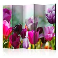 biombo - beautiful tulips ii room dividers