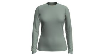 Camiseta de manga larga icebreaker mujer 260  p   strong tech  strong   p merino verde