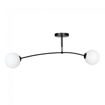 Plafón de techo mobis negro (2 luces)